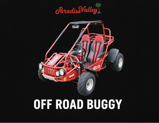 Off-Road-Buggy2